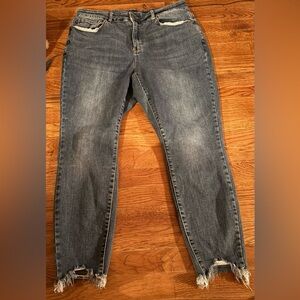 Judy Blue Skinny Fit Raw Hem Women’s jeans, Size 18W, EUC